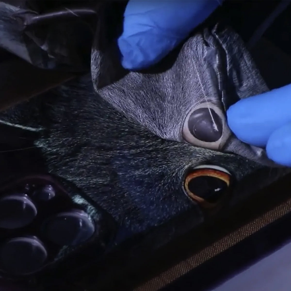 Papel para sublimación 3D FW-S-01F - Paquete 20 Piezas